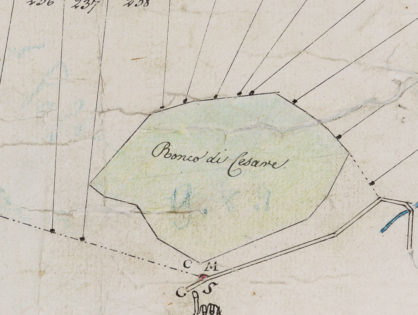 <span>Gigapixel ART</span> <br> Mappa dei boschi patriziali di Mendrisio